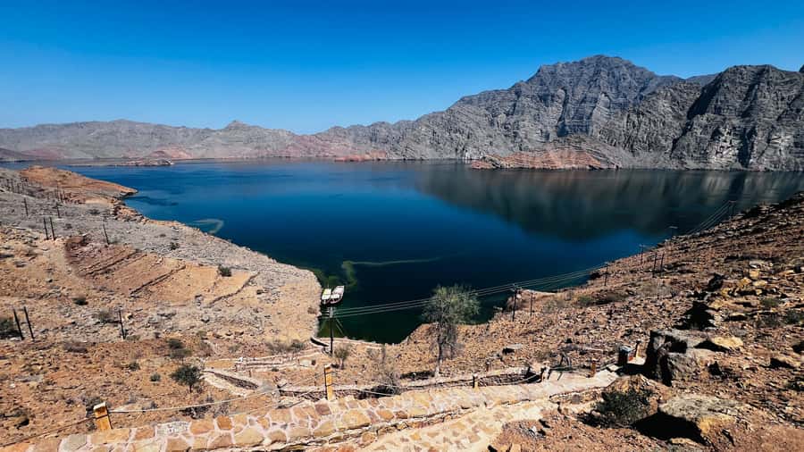 Khasab Musandam |Telegraph Island |Dhow Cruise | Dolphins - Practical advice for a smoother day