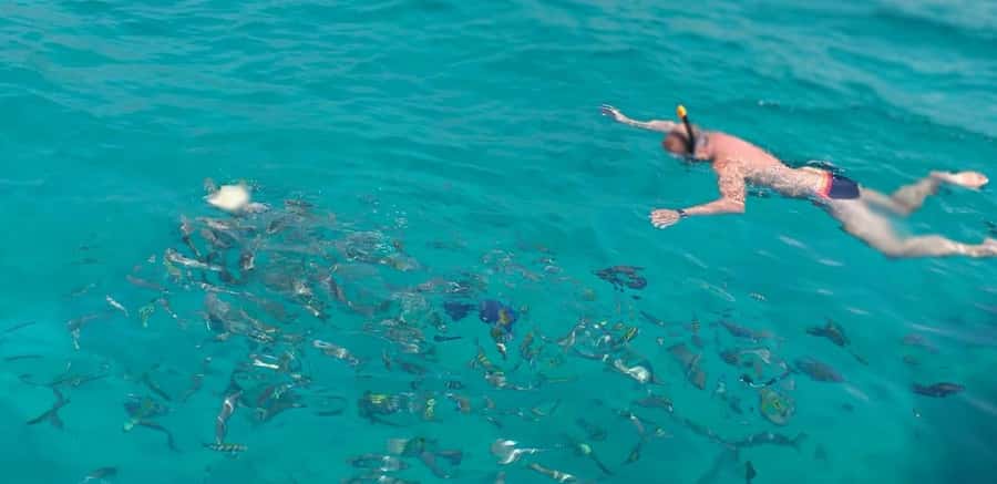 Khasab Musandam |Telegraph Island |Dhow Cruise | Dolphins - Sailing through Khor Shimm on a traditional dhow
