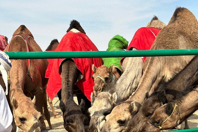Luxury Overnight Desert Safari in Salalah - Stargazing in the Empty Quarter