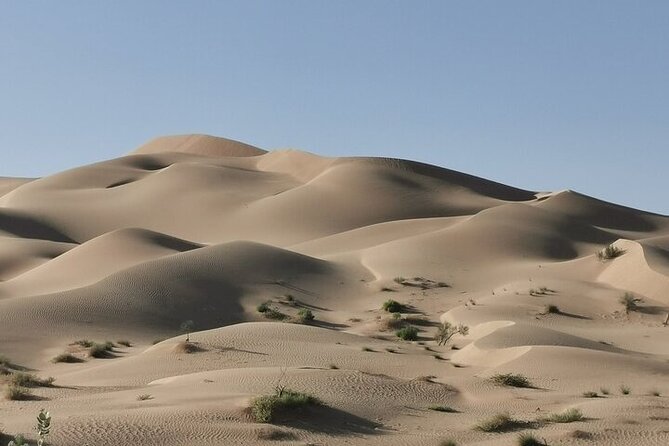 Luxury Sunset Desert Safari - How much value do you get for $175?