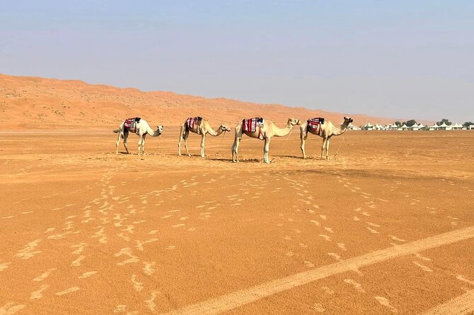Luxury Sunset Desert Safari - The vehicle, pickup, and group size