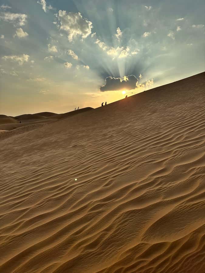 Luxury Sunset Desert Safari at Salalah Empty Quarter - The return journey and optional camel meat stop