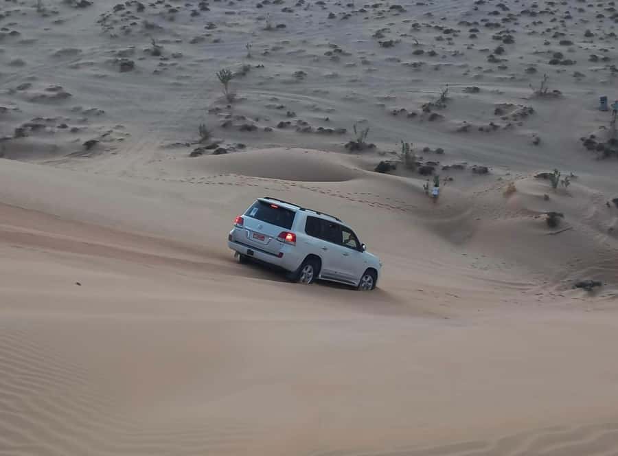 Magical Desert Safari By Land Cruise in Empty Quarter - Frankincense at the natural park