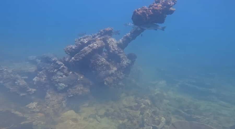 Mirbat: Snorkeling Adventure with Kheva Wreck - Key points at a glance