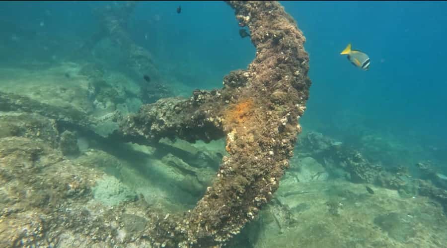 Mirbat: Snorkeling Adventure with Kheva Wreck - Why the Kheva Wreck makes this outing different