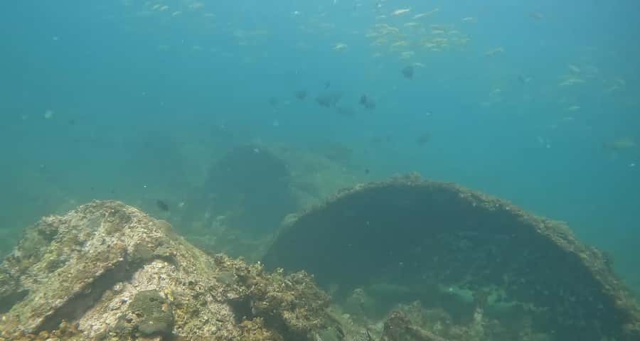 Mirbat: Snorkeling Adventure with Kheva Wreck - Time on Mirbat’s quiet shore