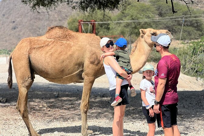 Mountain Safari, Camels, waterfalls & lunch (Group Tour) - Why this Salalah day trip covers so much ground
