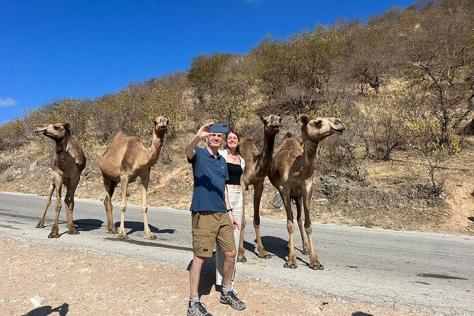 Mountain Safari, Camels, waterfalls & lunch (Group Tour) - The anti-gravity hill is fun, but keep the science in perspective