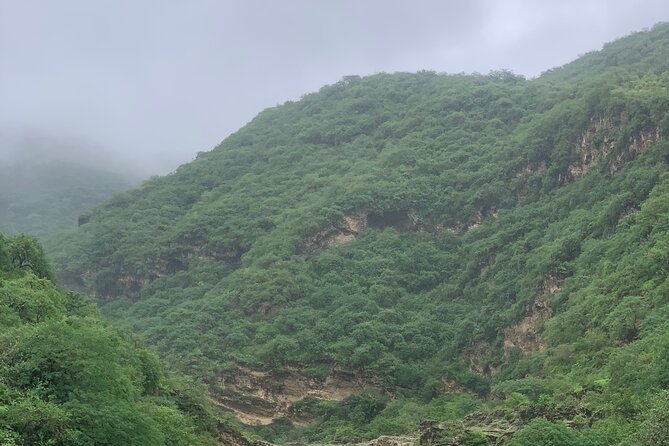 Mountain Safari Private Tour - Hasheer Agher and its rare baobab grove