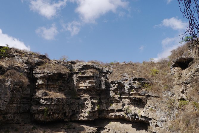 Mountain Tour - Darbat falls, Jebel Samhan, sinkholes, baobabs - Wadi Darbat: Water, Greenery, and Wandering Camels