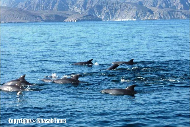 Musandam Khasab Day Trip and Dhow Cruise from Dubai - Telegraph Island and the story behind the stop