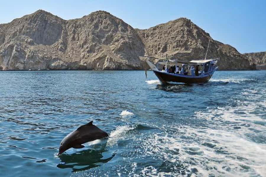 Musandam Khasab Full-Day Cruise with Transfers & Lunch - The early pickup and border crossing