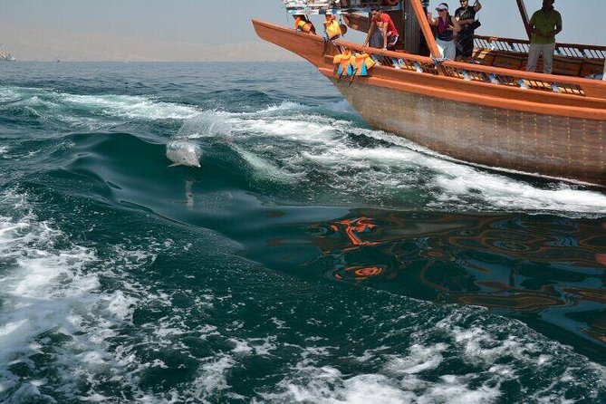 Musandam Khasab Full day dhow cruise with Lunch - Dolphins and marine life along the route