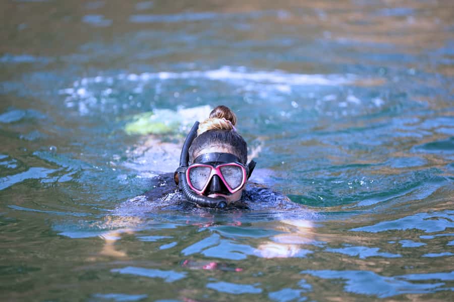Muscat: 3 Hours Dolphin Watching and Snorkeling Tour - Key points to know before booking