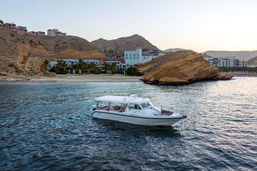 Muscat: 3 Hours Dolphin Watching and Snorkeling Tour - Who will enjoy this Muscat boat trip