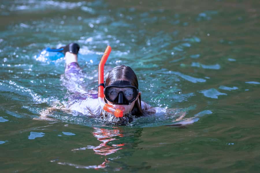 Muscat: 3 Hours Dolphin Watching and Snorkeling Tour - Two hours watching dolphins along the Muscat coast