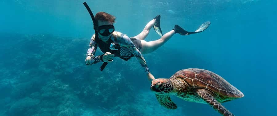 Muscat: 4-Hour Snorkeling Tour with Dolphin watching - The guide and captain can shape the day
