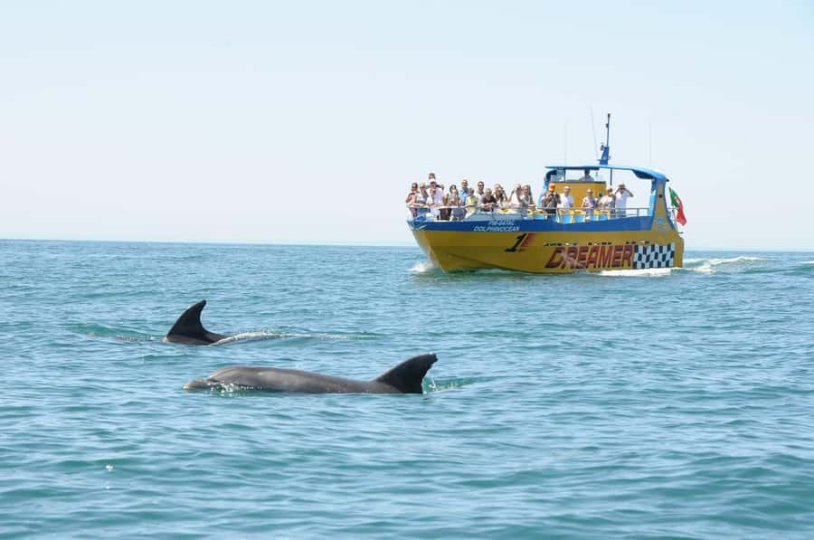 Muscat: 4-Hour Snorkeling Tour with Dolphin watching - Practical details that can save you trouble