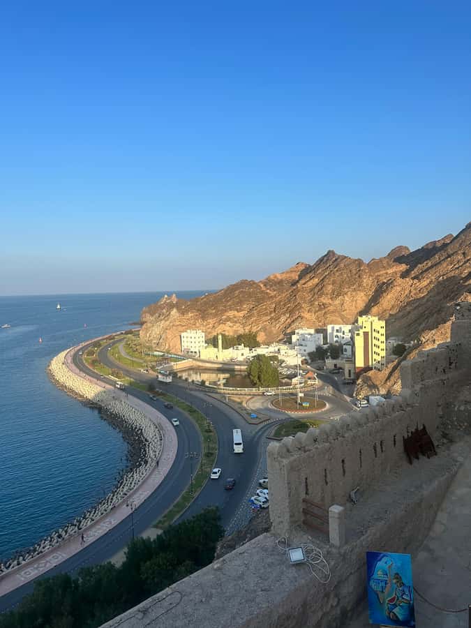 Muscat : 4 hours private Tour of Muscat City with Pick-up - Why four hours works well in Muscat