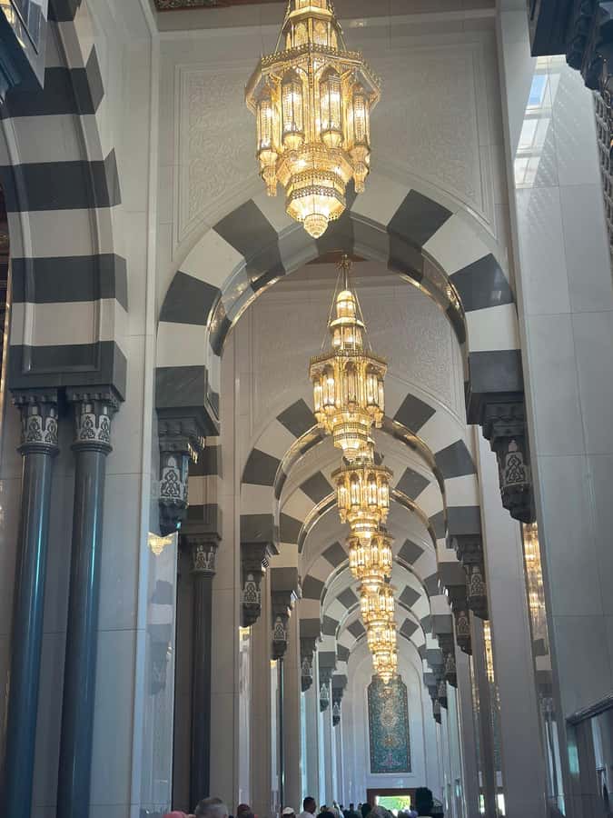 Muscat : 4 hours private Tour of Muscat City with Pick-up - Who should book this Muscat tour?