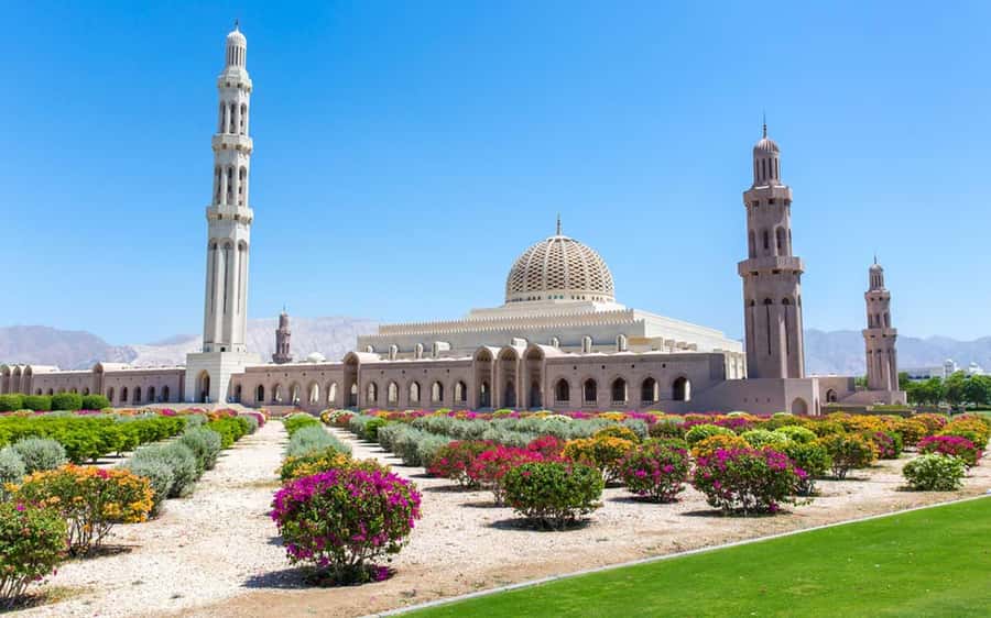 Muscat : 4 hours private Tour of Muscat City with Pick-up - Starting at Sultan Qaboos Grand Mosque