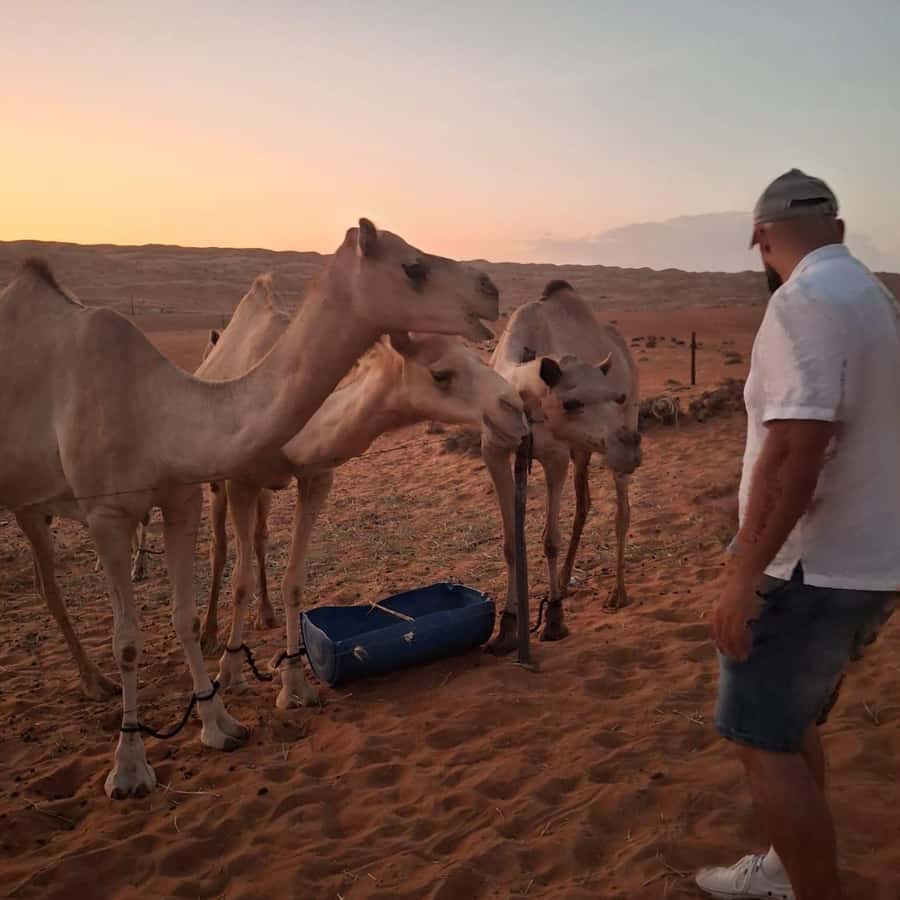 Muscat: Bidiya Desert Sunset Camel Ride with Transfer - Reaching the Bidiya Desert at 4:00 PM