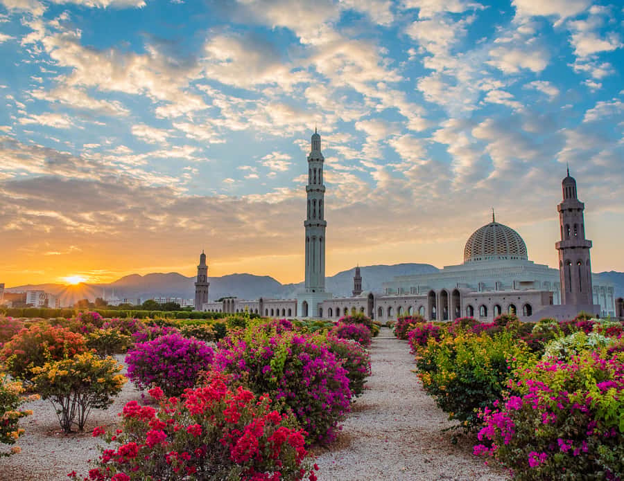 Muscat: Budget Friendly City Tour - Why this short Muscat tour works