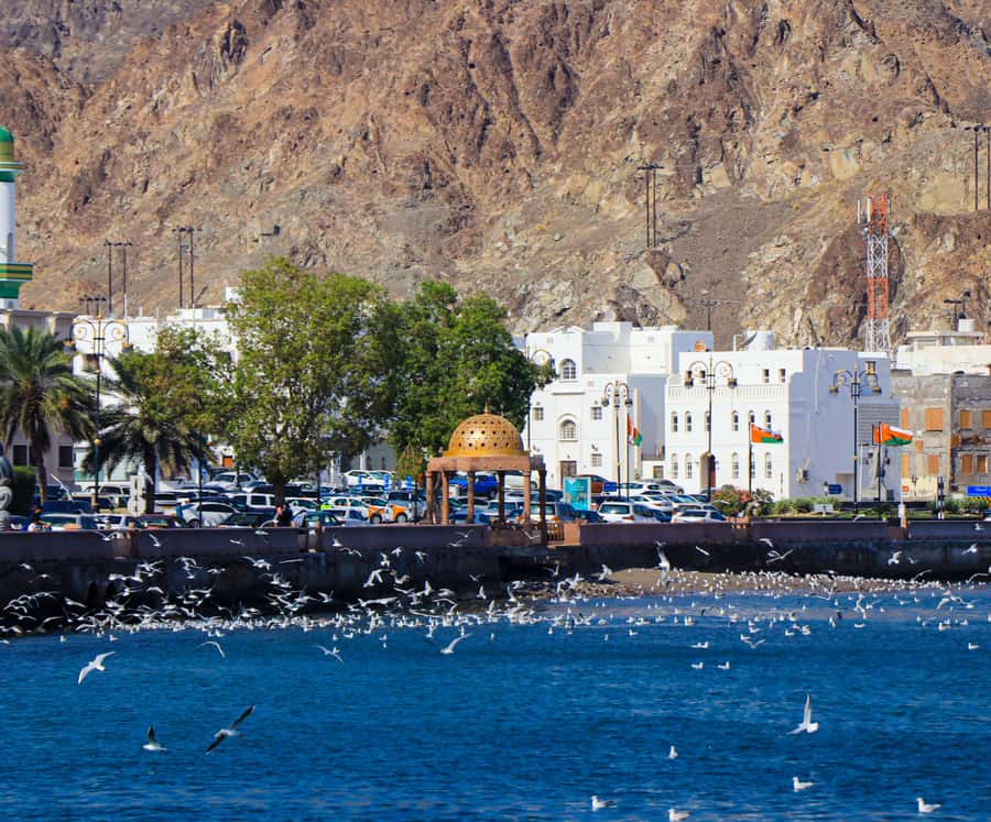 Muscat: Budget Friendly City Tour - Morning or evening: choose by your priorities