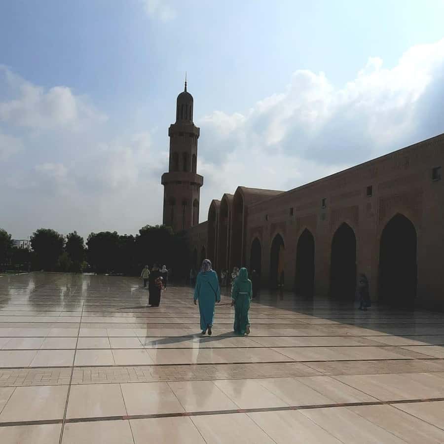 Muscat: City Highlights Tour with Optional Transfers - Who should book it, and who should choose another plan?