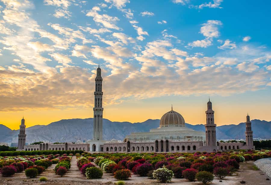 Muscat: City Highlights Tour with Optional Transfers - Why this Muscat tour works for a first day