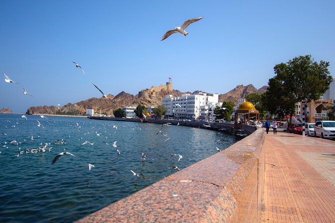 Muscat City Tour Full Day - Private Guided Tour from Muscat - Spend two hours at the National Museum