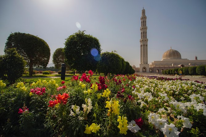 Muscat City Tour Full Day - Private Guided Tour from Muscat - See Al Alam Palace from the gates