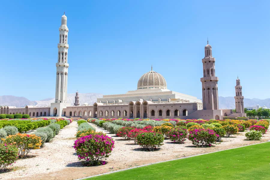 Muscat: City Tour of Grand Mosque, Old Souqs, Museum, & Fort - What the $389 Price Includes