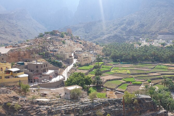 Muscat City Tour with All Language Guide - Starting at 8:00 a.m. in a private vehicle