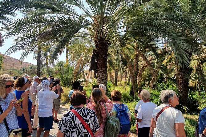 Muscat City Tour with All Language Guide - Royal Opera House Muscat and modern Omani taste
