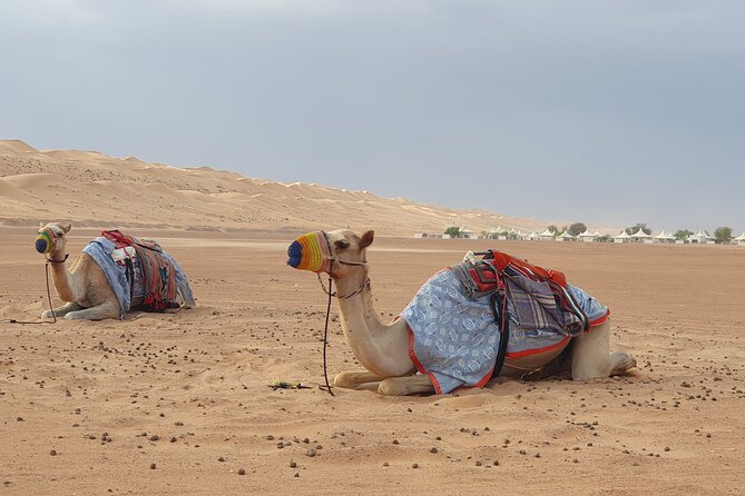 Muscat City Tour with All Language Guide - Is $235.60 per person good value?