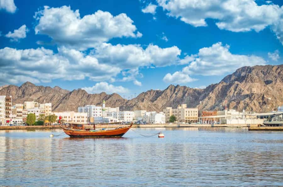 muscat city tour with pick up SMALL GROUP 7 PEOPLE MAX - Al Alam Palace: a photo stop, not an interior tour