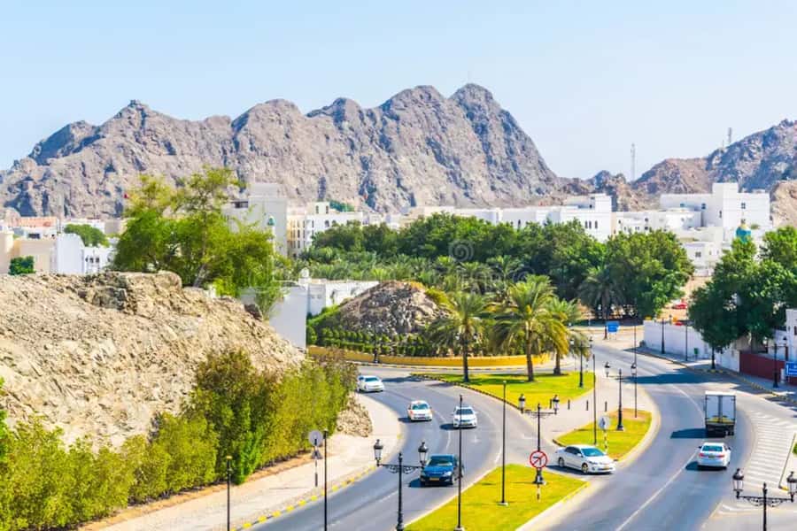 muscat city tour with pick up SMALL GROUP 7 PEOPLE MAX - What guides add to the day