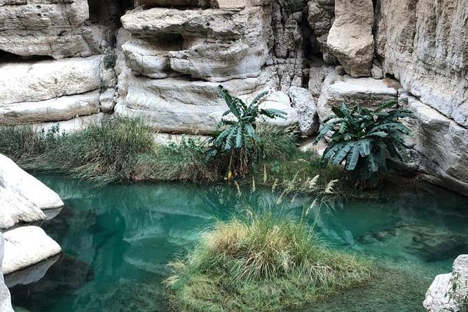 Muscat City & Wadi Shab Full-Day Adventure - Bimmah Sinkhole brings a short, striking stop