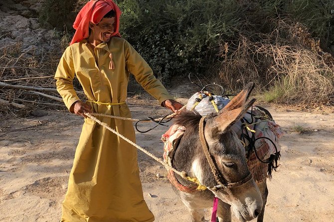 Muscat City & Wadi Shab Full-Day Adventure - Timing, comfort, and the pace of the day