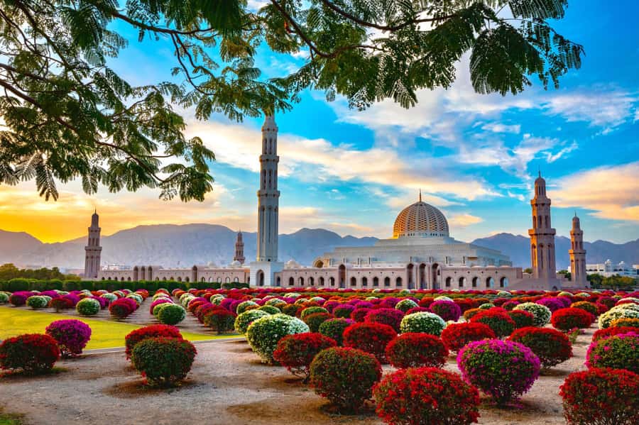 Muscat: Day Tour with Omani Lunch, Hotel Pickup, and Airfare - Flying one way, returning by road