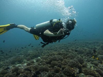 Daymaniat Islands Scuba Diving for Beginners