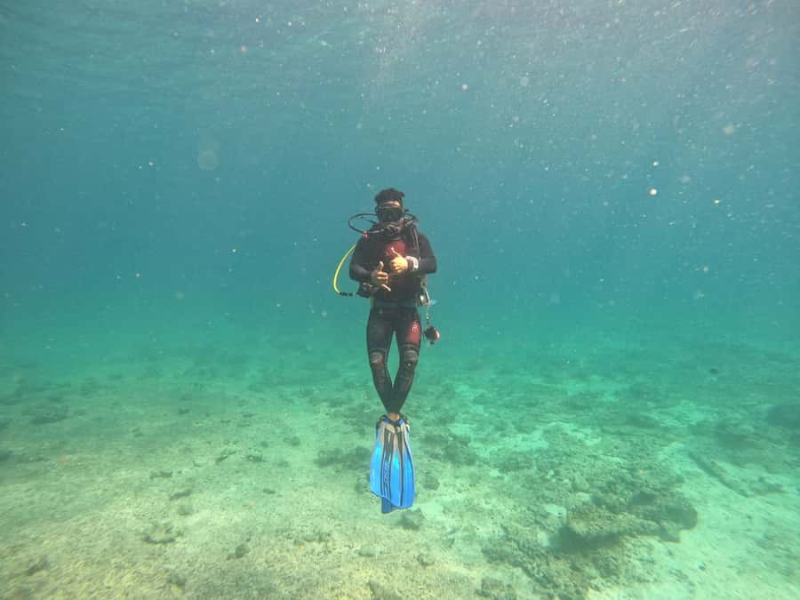 Muscat: Daymaniat Islands Scuba Diving for Beginners - What non-swimmers should understand