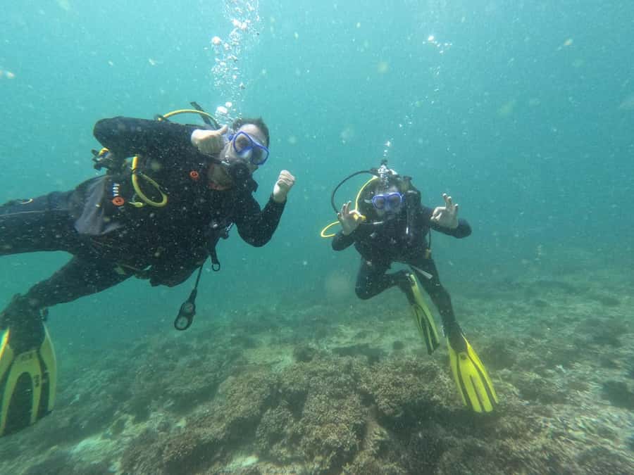 Muscat: Daymaniat Islands Scuba Diving for Beginners - Marine life you might see