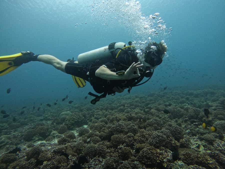 Muscat: Daymaniat Islands Scuba Diving for Beginners - The boat briefing makes the first session less intimidating