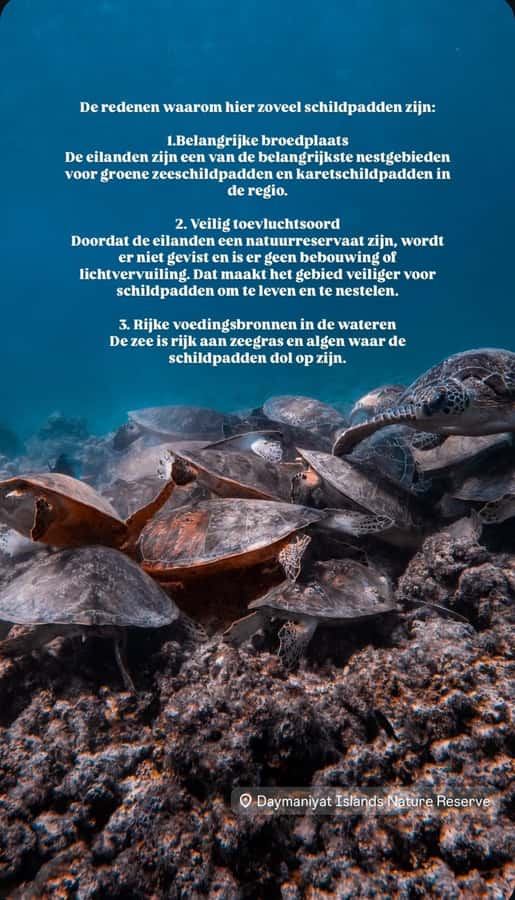 Muscat: Daymaniat Islands Snorkeling Tour with Refreshments - Key points to know before booking