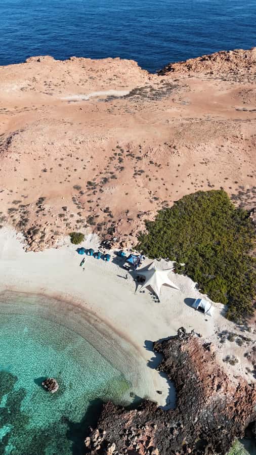 Muscat: Daymaniat Islands Tour - Key points at a glance
