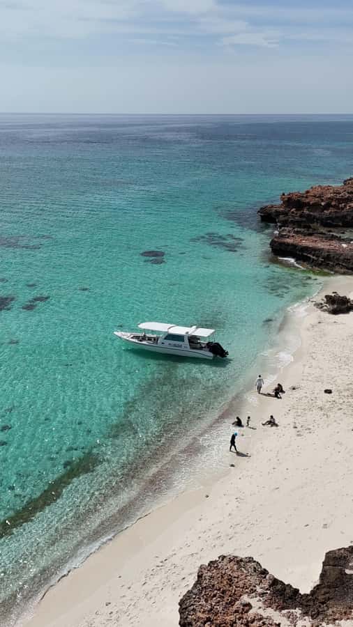 Muscat: Daymaniat Islands Tour - Underwater photographs and the GoPro question