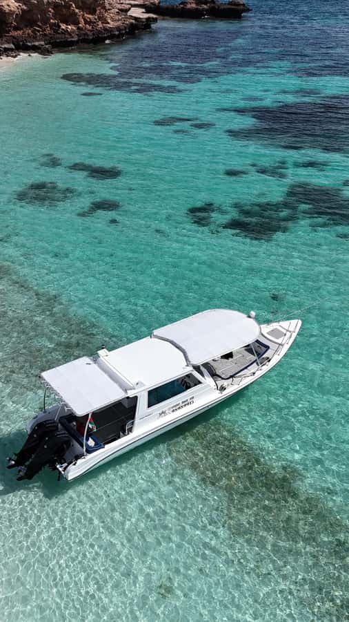 Muscat: Daymaniat Islands Tour - What the $80 price really buys you