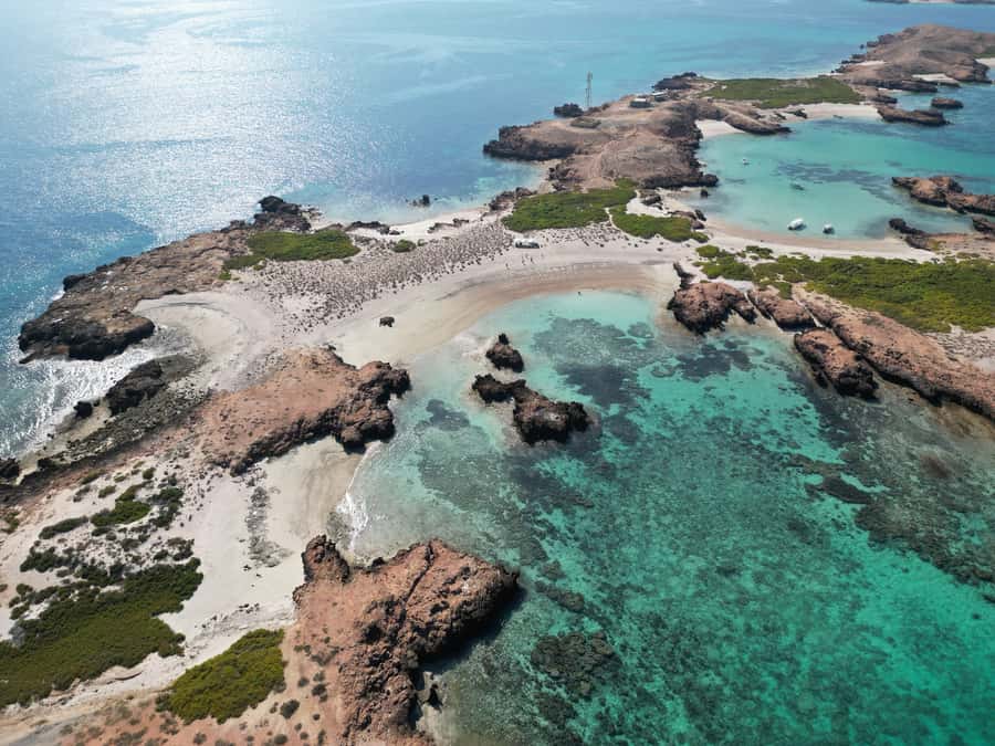 Muscat: Daymaniat Islands Tour - Five hours of sea, swimming, and island time